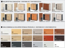 KOLORYSTYKA eOPTIMAL