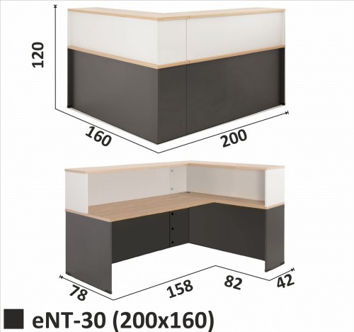 Lada recepcyjna eNT-30 (200x160)