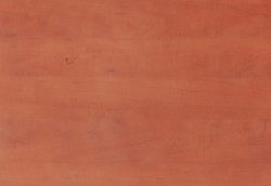 PRÓBKA KOLORU 08 GRUSZA