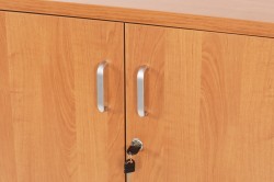 Przykład frontu mebla w kolorze 06 OLCHA