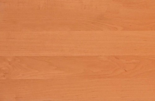 PRÓBKA KOLORU 06 OLCHA