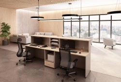 DĄB NATURALNY 10 + KASZMIR 46