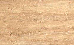 PRÓBKA KOLORU D1041 OW